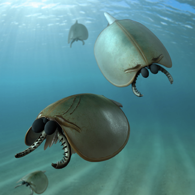 Fig. 7: Artistic reconstruction.