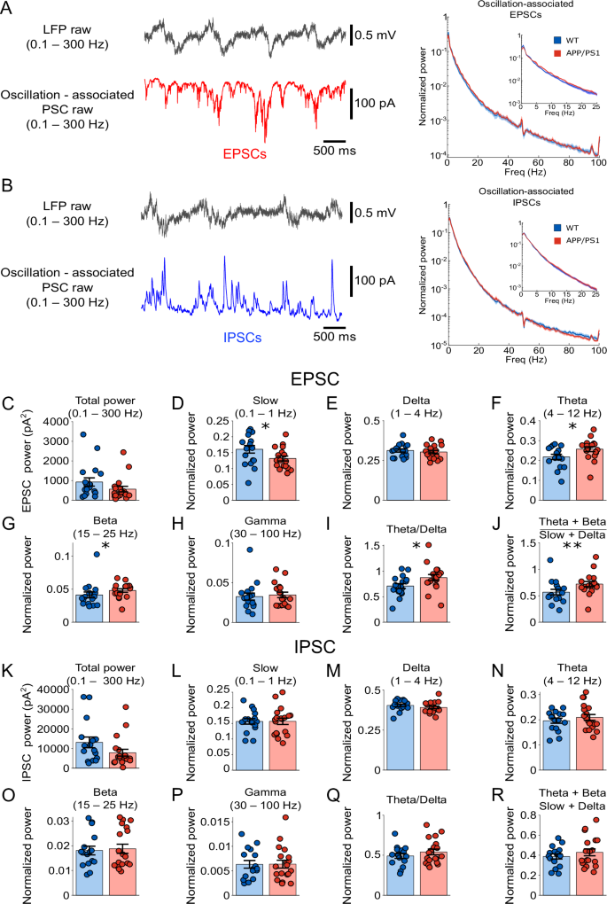 Fig. 4: Altered oscillation-associated synaptic currents in anesthetized young APP/PS1 mice.