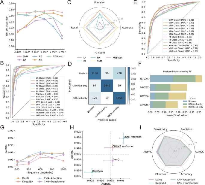 Fig. 4: Interpretable modeling of bivalent histone modifications based on DNA sequence features.