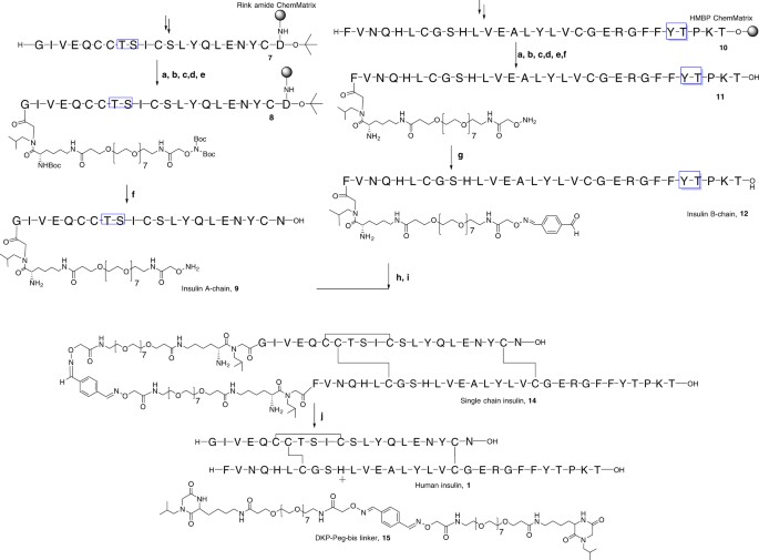 Synthesis Of Disulfide Rich Heterodimeric Peptides Through An Auxiliary N N Crosslink Communications Chemistry