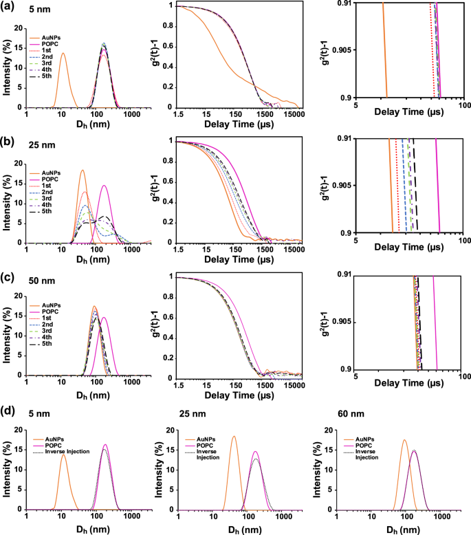 size dependency of gold nanoparticles