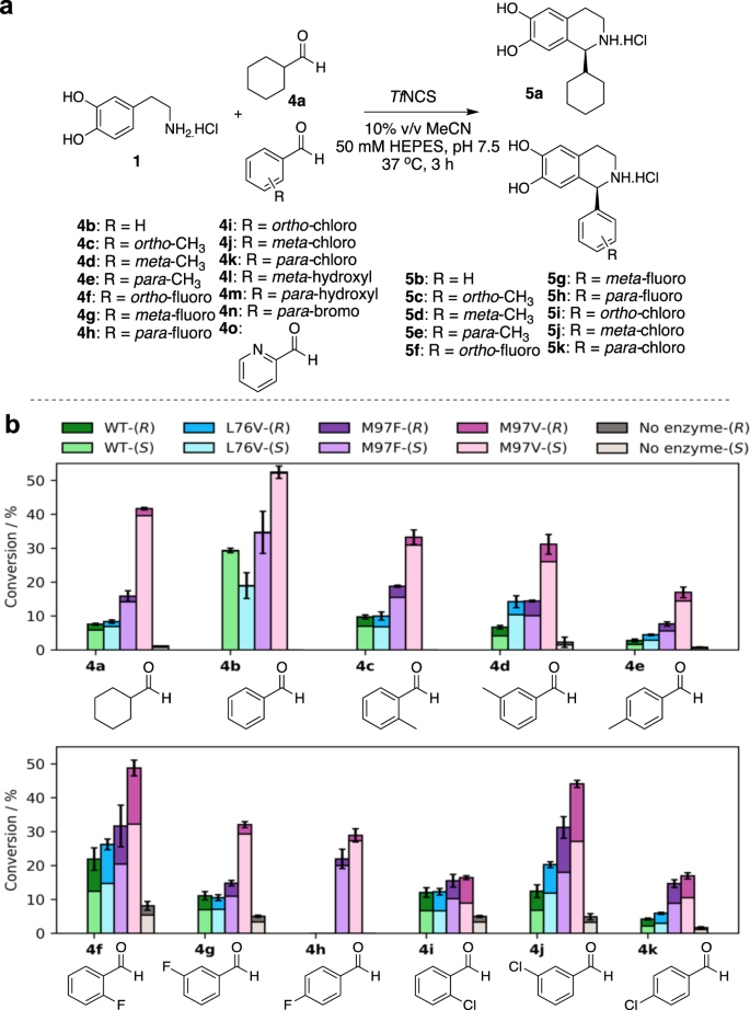 Single Step Syntheses Of 1 S Aryl Tetrahydroisoquinolines By Norcoclaurine Synthases Communications Chemistry