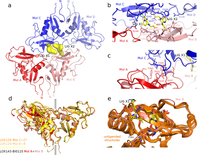 Fig. 3: Crystal structure of the BI-0115-LOX-1 complex.
