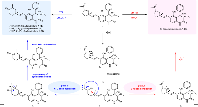Fig. 6: Proposed mechanism.