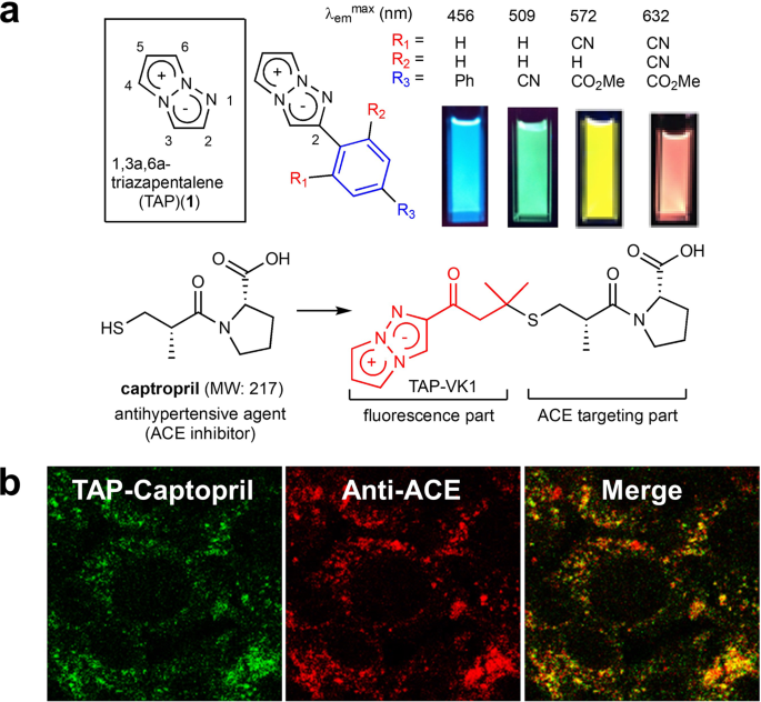 Fig. 1: 1,3a,6a-triazapentalene and its application.