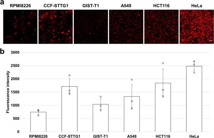 Fig. 5: Fluorescence of 1d in various cancer cell lines.