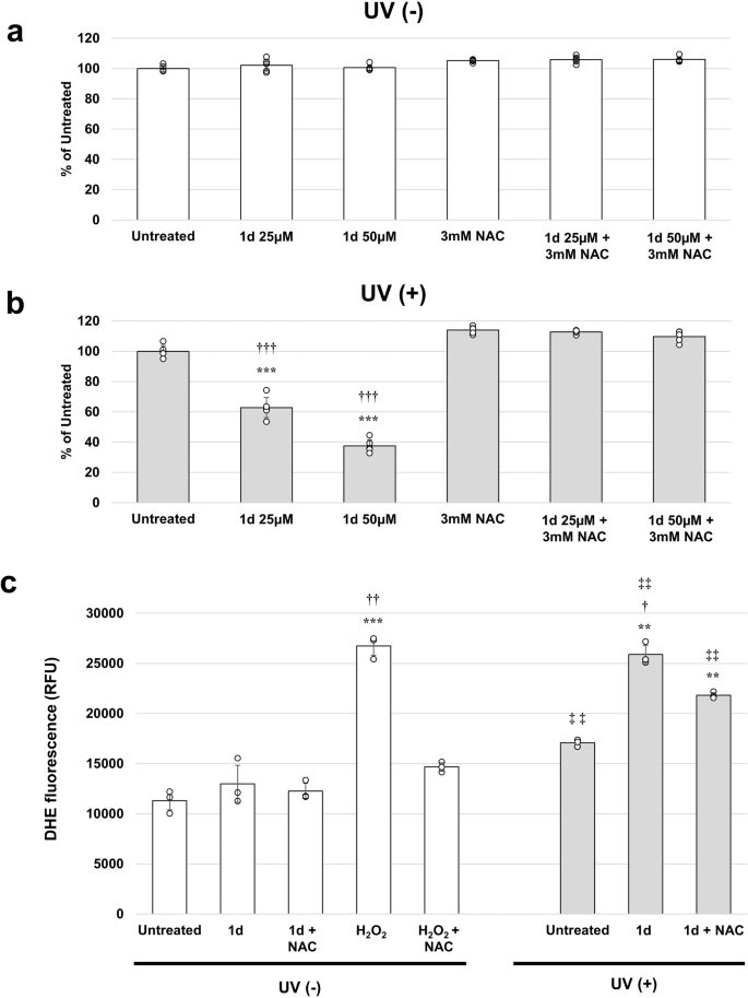 Fig. 6: Production of reactive oxygen species (ROS) in 1d after UV irradiation.