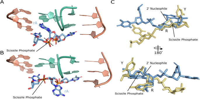 Fig. 5: Active site comparisons.