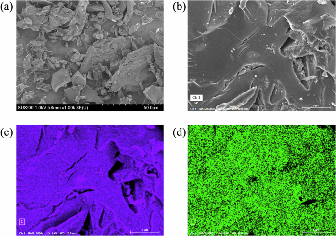 Fig. 2: SEM image and EDX mappings of CS_Heat.