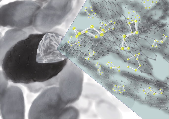 Fig. 9: Image of carbon–sulfur composites.
