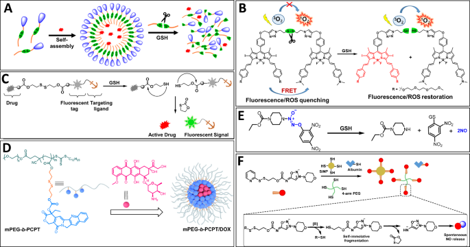 Towards precision medicine using biochemically triggered cleavable  conjugation