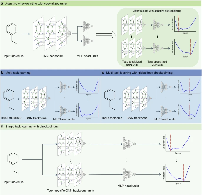 Graph neural networks for molecular property prediction