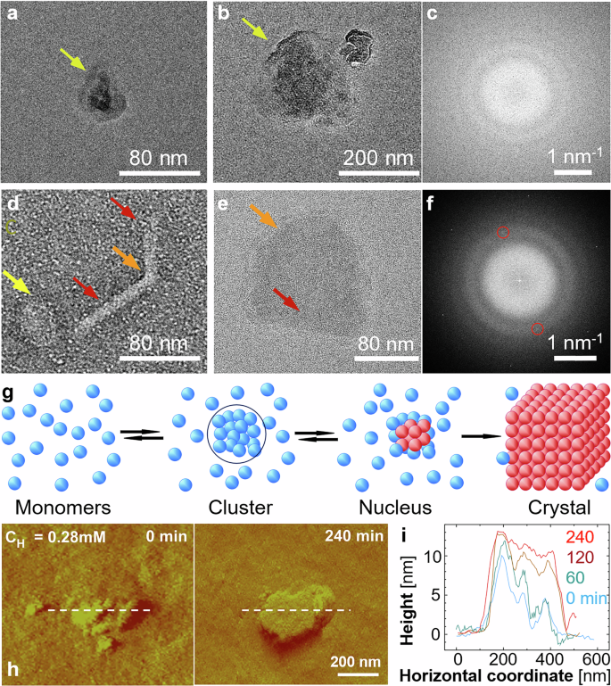 Fig. 2: Amorphous precursors host the nucleation of β-hematin.