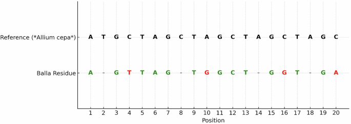 Fig. 10: DNA sequence alignment.