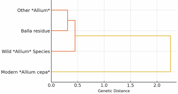 Fig. 11: DNA phylogenetic tree.