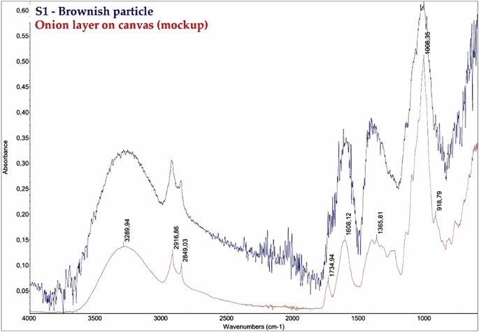 Fig. 12: FTIR-ATR spectra of the painting residue and onion reference.