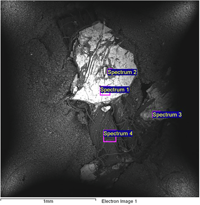 Fig. 13: Scanning electron microscopy of first fragment of sample S3.