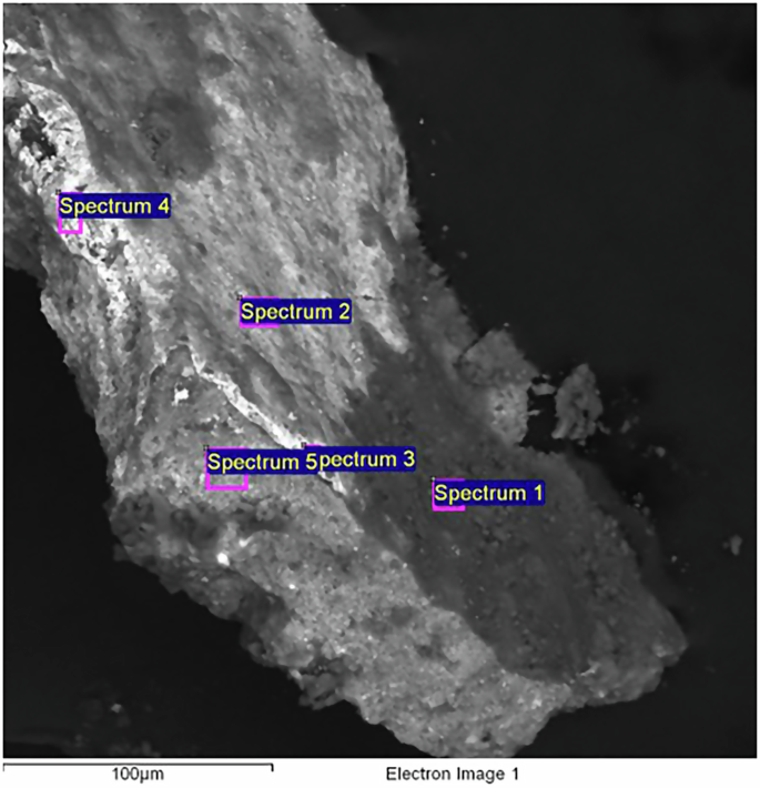Fig. 14: Scanning electron microscopy of the second fragment of sample S3.