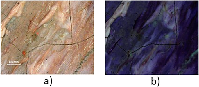Fig. 2: Optical microscopy analysis of “Ritratto d’uomo”/Eugenio Riva.