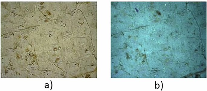 Fig. 3: Optical microscopy analysis of “Ritratto d’uomo”/Eugenio Riva.