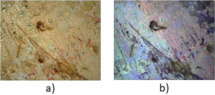 Fig. 5: Optical microscopy analysis of “Ritratto d’uomo”/Eugenio Riva.