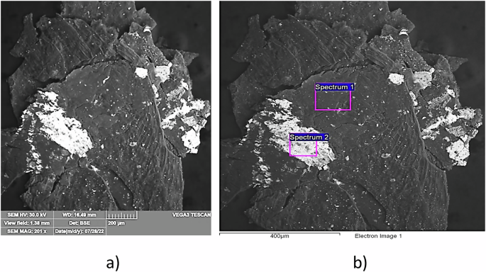 Fig. 6: Scanning electron microscopy of sample S1.