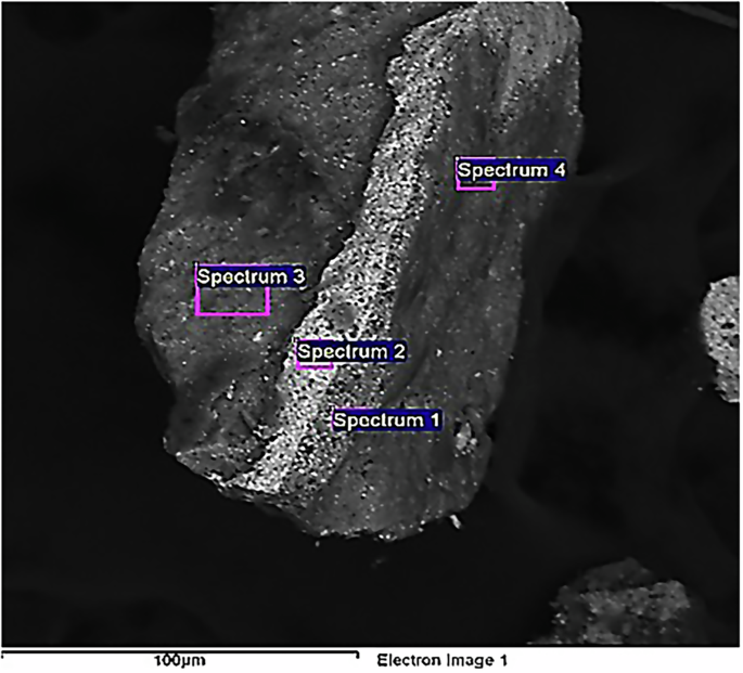 Fig. 8: Scanning electron microscopy of sample S2.
