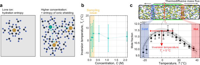 Fig. 1: Contributors to thermodiffusive behaviour.