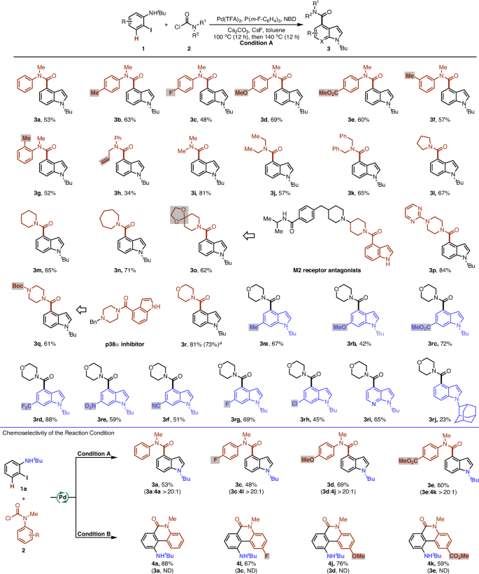 Scheme 2: Investigation scope of the substrate.