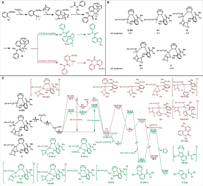 Scheme 5: Density functional theory (DFT) calculations.