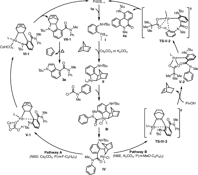 Scheme 6: Possible mechanism.