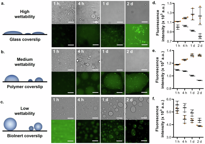 Fig. 4: Wettability of phase-separated FL α-syn on different surfaces.