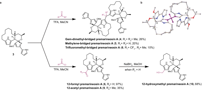 Fig. 3: Semi-synthetic electrophilic aromatic substitution at the C12 position facilitated robust derivatization of the (−)-premarineosin A (3) scaffold.
