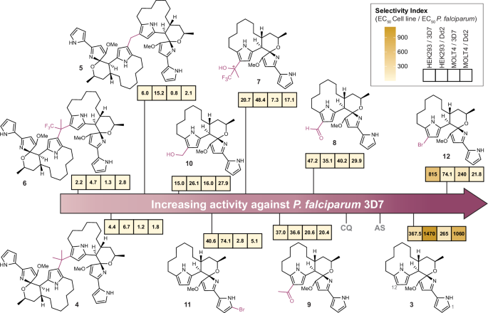 Fig. 5: Diversifying the (−)-premarineosin A (3) scaffold improved selectivity against Plasmodium falciparum.