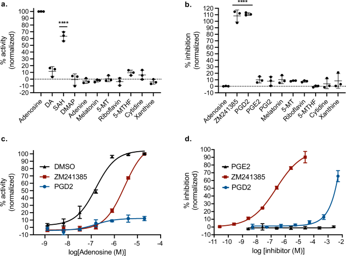 Fig. 2: Identification of prostaglandin D2 as an allosteric inhibitor of A2AR.