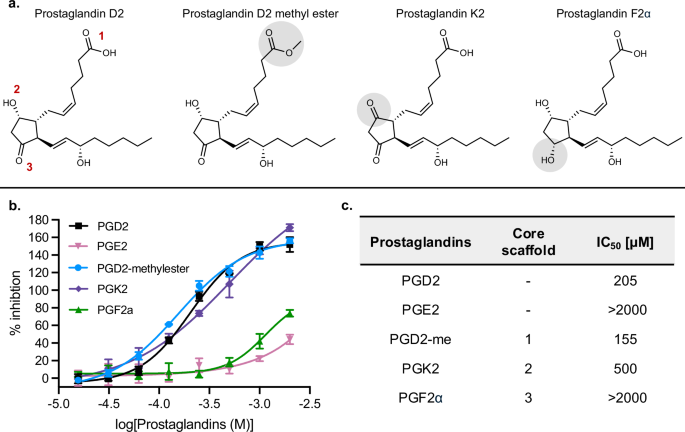 Fig. 3: Inhibition potency comparison of PGD2 analogs.