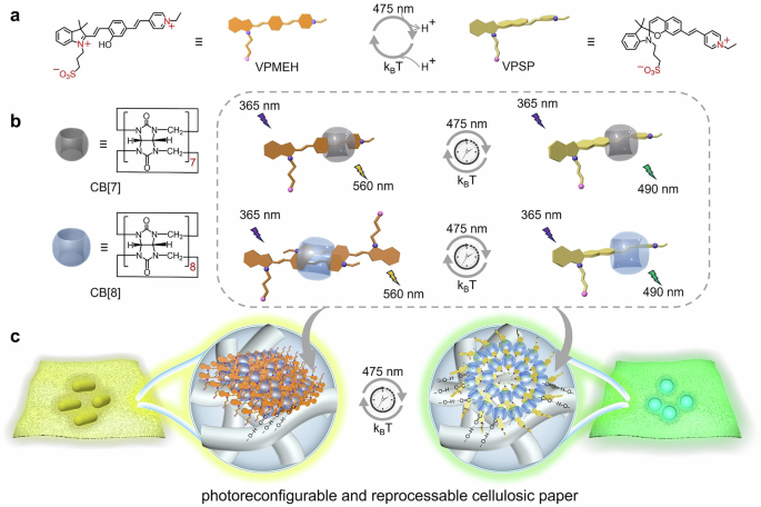 Fig. 1: The design strategy of photochromic fluorescent complexes loading on cellulosic paper.