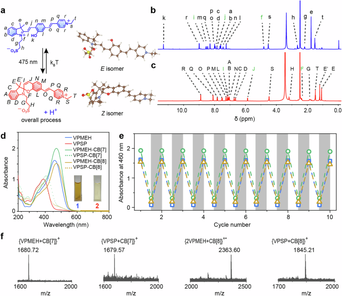 Fig. 2: Structural characterizations of VPMEH and VPSP, and their complexes with cucurbiturils.