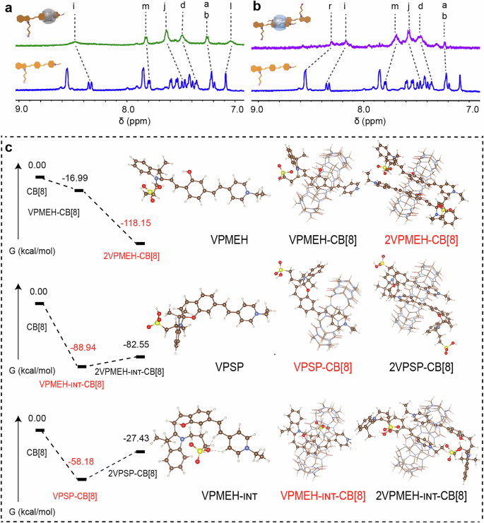 Fig. 3: Proposed mechanisms of host-guest complexation and light-driven configurational change of VPMEH and CB[8] complex.