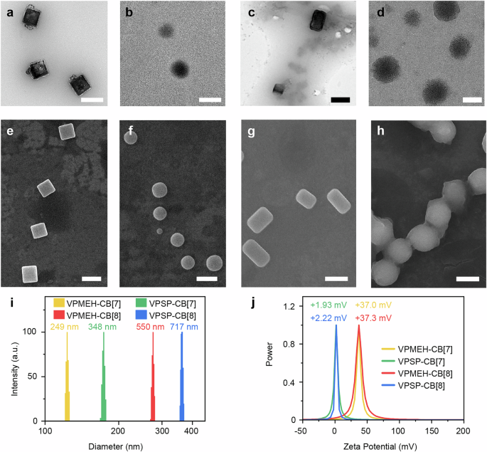 Fig. 5: Morphological characterizations of VPMEH-cucurbituril self-assemblies.