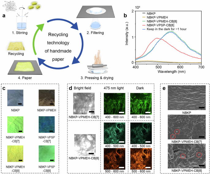 Fig. 6: Morphological characterizations of VPMEH-cucurbituril self-assemblies-loaded cellulosic paper.