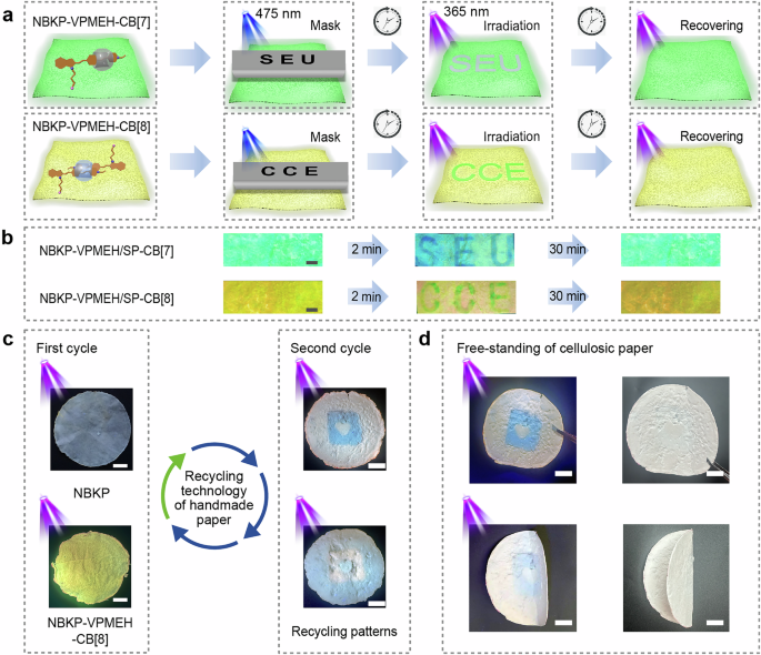 Fig. 7: VPMEH-cucurbituril self-assemblies-loaded cellulosic paper and its application in anti-counterfeiting.