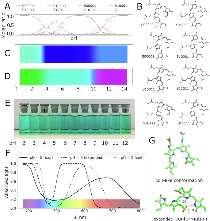 Fig. 5: Colour prediction for biliverdin in water and comparison with experimental data.