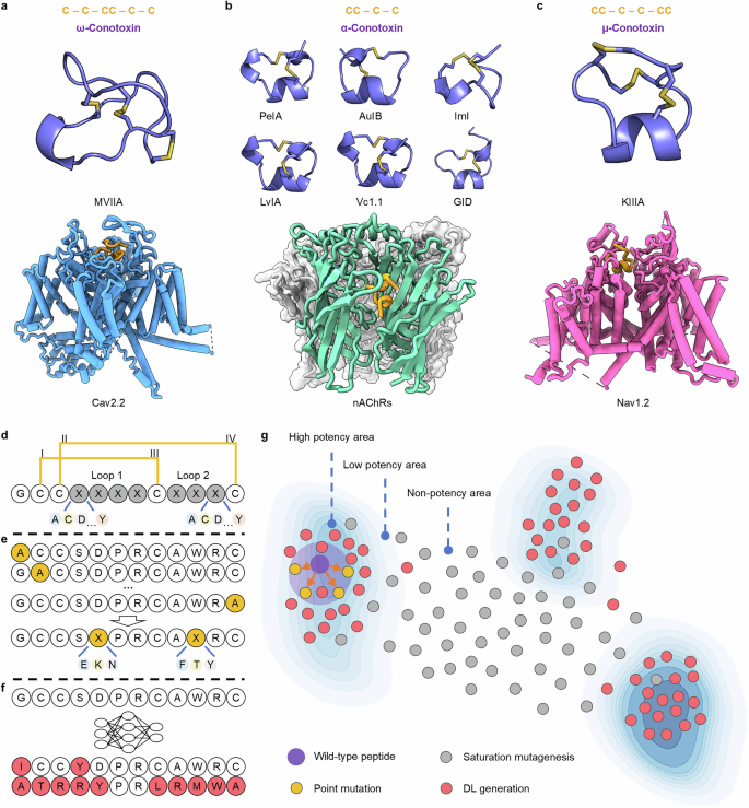 Fig. 1: Mutation strategies for target-specific peptides.