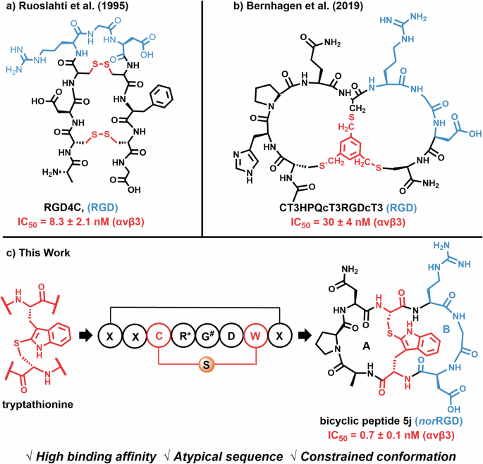 Fig. 1: Reported structures of bicyclic peptides targeting αvβ3.