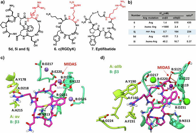 Fig. 2: Impact of the sidechain guanidine on integrin selectivity.