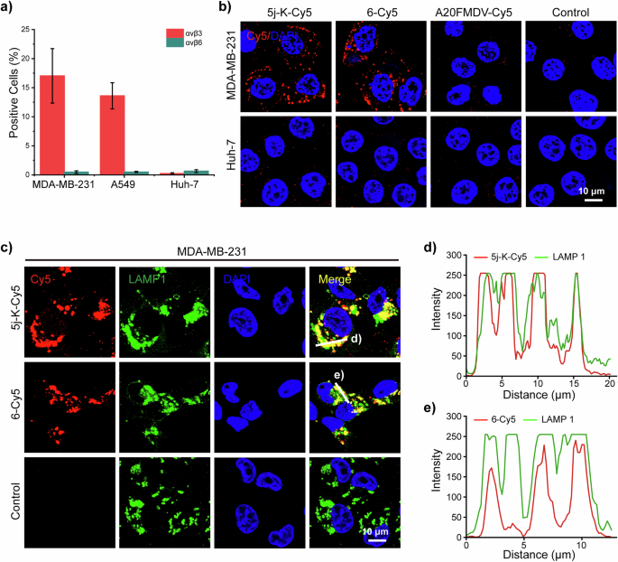 Fig. 3: Binding and internalization of Cy5-labeled peptides in αvβ3-expressing cell.