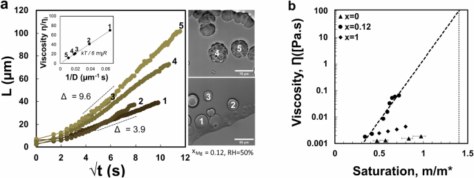 Fig. 5: Growth kinetics of spherulites in evapora mixed salt solution.