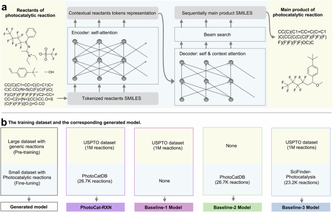 Fig. 4: The transformer model and training schematic.