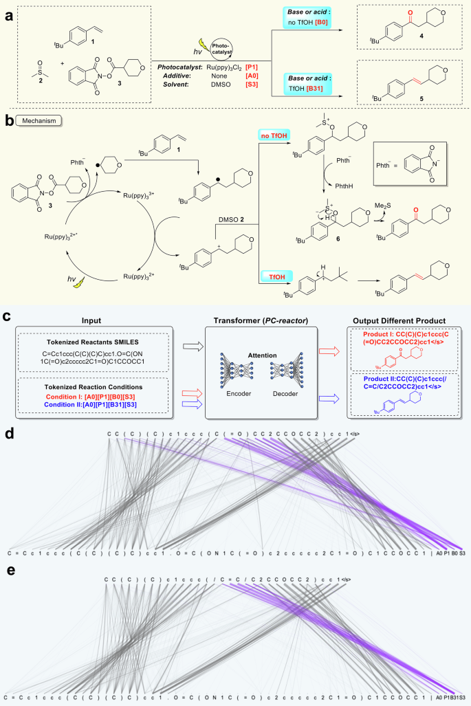 Fig. 7: Interpretability and attentional analysis of PhotoCat-RXN.